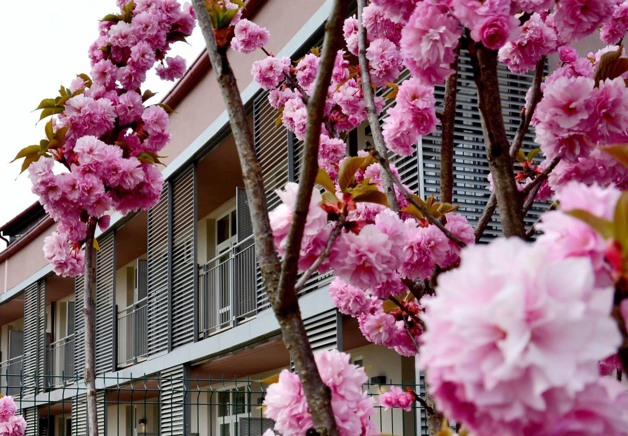 Privilege Apartments Vimercate Eksteriør bilde